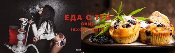 стаф Магас
