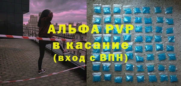 стаф Магас