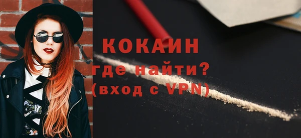 стаф Магас