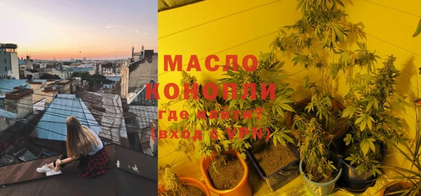 стаф Магас