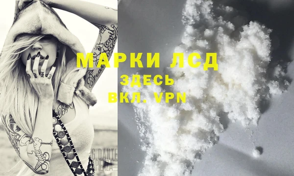 стаф Магас