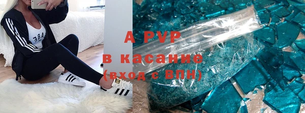 стаф Магас
